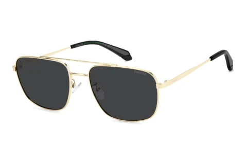 Lunettes de soleil Polaroid PLD 4214/G/S/X 2F7/M9