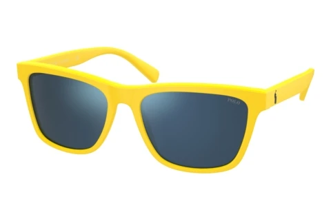 Lunettes de soleil Polo PH4167 542055