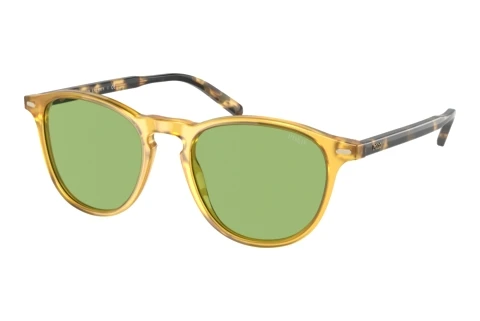 Lunettes de soleil Polo PH4181 5005/2