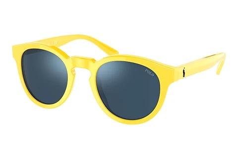 Lunettes de soleil Polo PH4184 542055