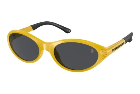 Lunettes de soleil Polo PH4197U 596187