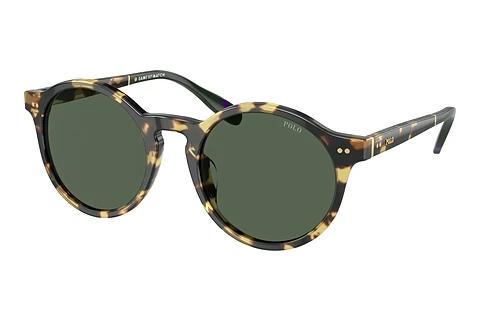 Lunettes de soleil Polo PH4204U 500471