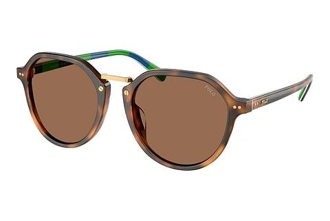 Lunettes de soleil Polo PH4223U 608973