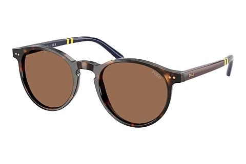 Lunettes de soleil Polo PH4236 500373