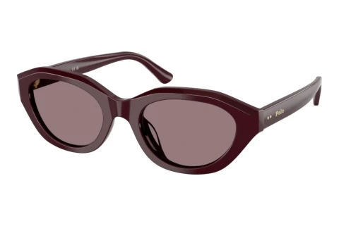 Lunettes de soleil Polo PH4237U 63547N