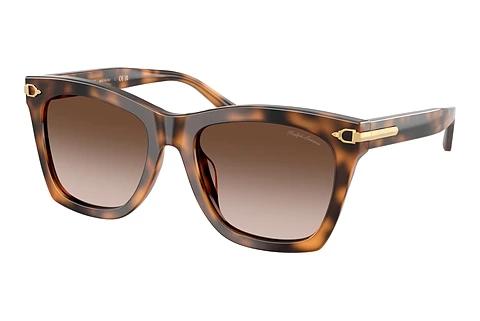 Lunettes de soleil Ralph Lauren RL8235U 608913