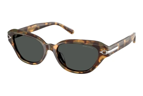 Lunettes de soleil Ralph Lauren RL8244U 617887