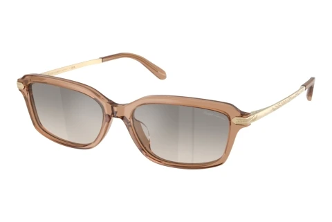 Lunettes de soleil Ralph Lauren RL8245U 637708
