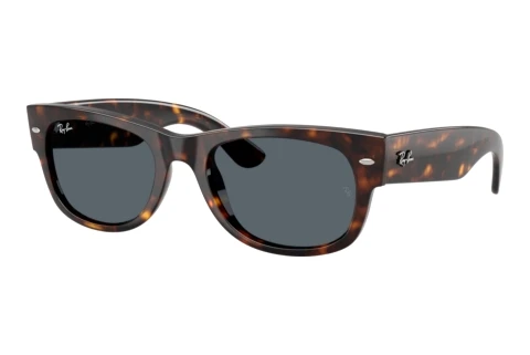 Lunettes de soleil Ray-Ban MEGA WAYFARER II (RB0832S 902/R5)