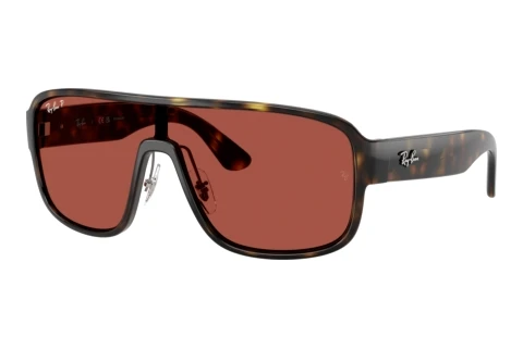 Lunettes de soleil Ray-Ban RB2229 710/1B