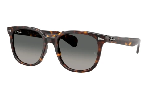 Lunettes de soleil Ray-Ban BRUNEL II (RB2235 902/71)