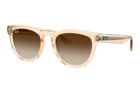 Lunettes de soleil Ray-Ban RB2237 690213