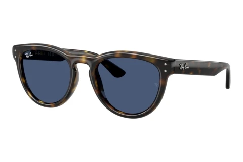 Lunettes de soleil Ray-Ban RB2237 710/80