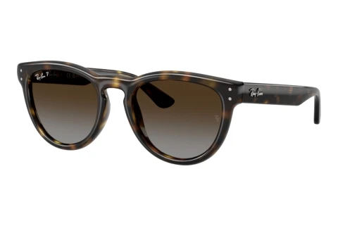 Lunettes de soleil Ray-Ban RB2237 710/T5