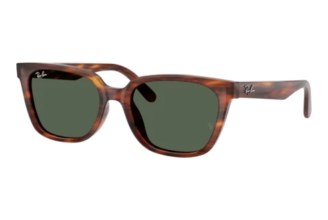Lunettes de soleil Ray-Ban RB2243D 954/71