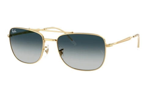 Lunettes de soleil Ray-Ban RB3755 920132