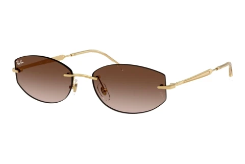 Lunettes de soleil Ray-Ban RB3792 001/13