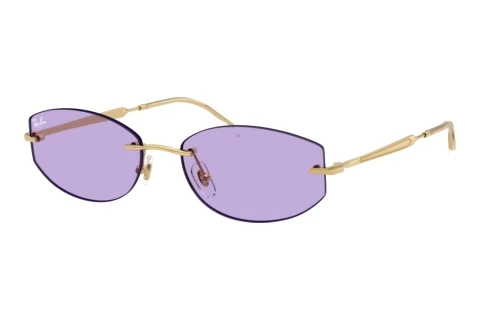 Lunettes de soleil Ray-Ban RB3792 001/1A