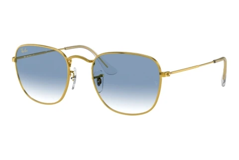 Lunettes de soleil Ray-Ban FRANK (RB3857 91963F)