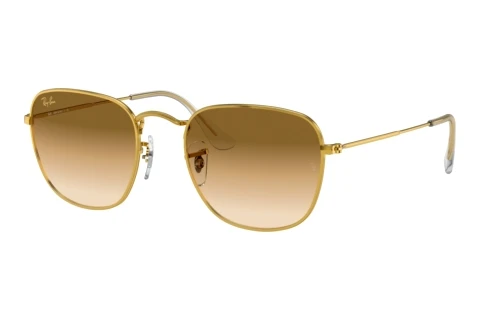 Lunettes de soleil Ray-Ban FRANK (RB3857 919651)