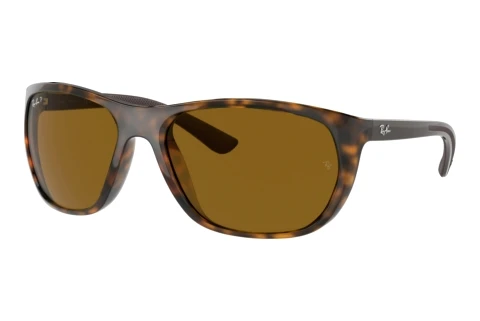 Lunettes de soleil Ray-Ban RB4307 710/83