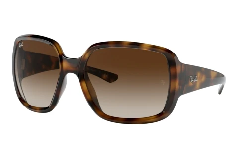 Lunettes de soleil Ray-Ban POWDERHORN (RB4347 710/13)