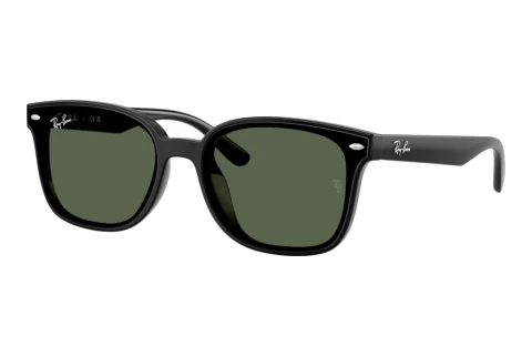Lunettes de soleil Ray-Ban RB4461D 601/71