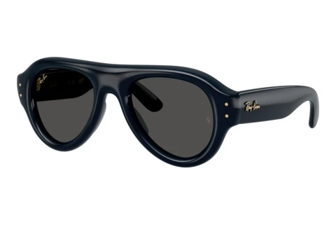 Lunettes de soleil Ray-Ban RB4925 689587