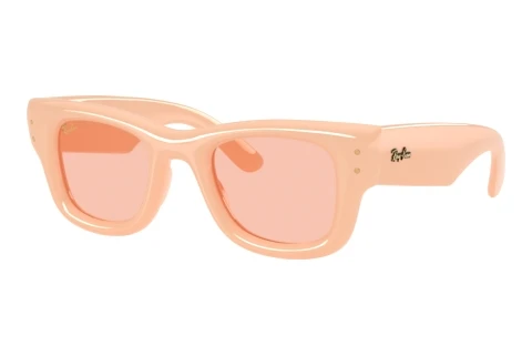 Lunettes de soleil Ray-Ban WAYFARER PUFFER (RB4940 687584)