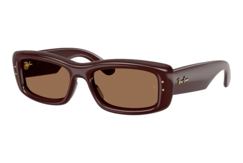 Lunettes de soleil Ray-Ban RB4944 687773