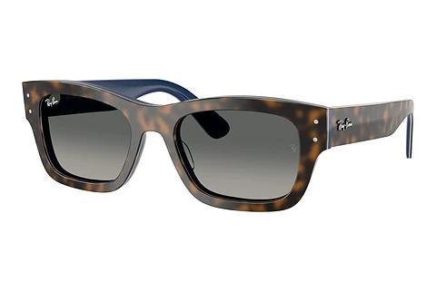Lunettes de soleil Ray-Ban JOSEPH (RB7683S 140171)