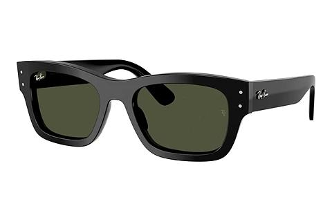 Lunettes de soleil Ray-Ban JOSEPH (RB7683S 901/31)