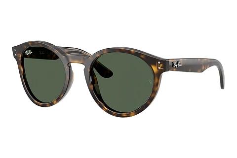 Lunettes de soleil Ray-Ban RBR0505S 6790VR
