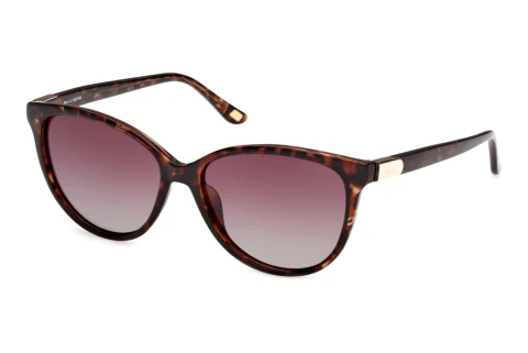 Lunettes de soleil Skechers SE00173 47H