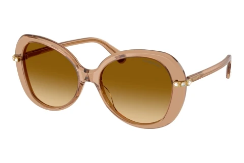 Lunettes de soleil Swarovski SK6059 11243B