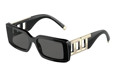 Lunettes de soleil Tiffany TF4197 8001S4