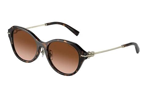 Lunettes de soleil Tiffany TF4210D 80153B