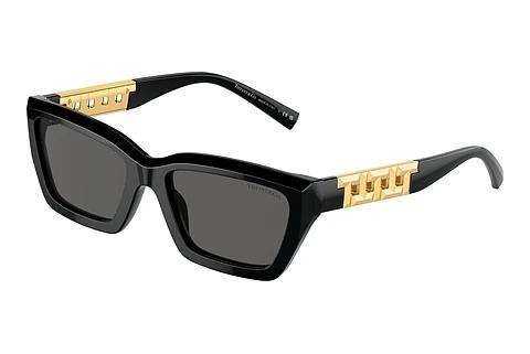 Lunettes de soleil Tiffany TF4213 8001S4