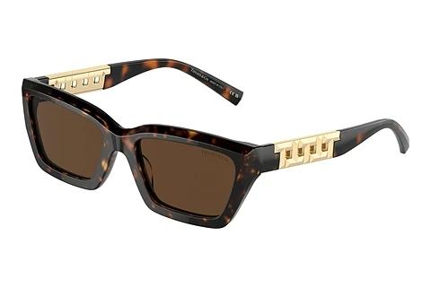 Lunettes de soleil Tiffany TF4213 80153G