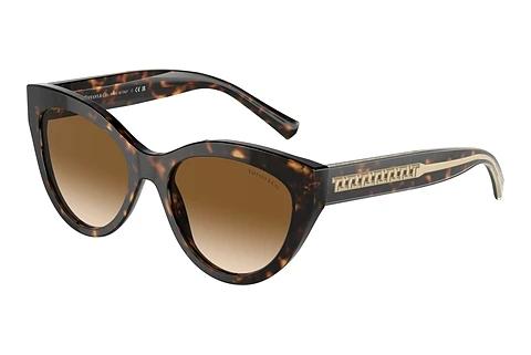 Lunettes de soleil Tiffany TF4220 801551