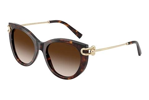 Lunettes de soleil Tiffany TF4232 80153B