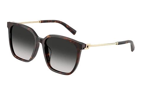 Lunettes de soleil Tiffany TF4244D 80153C