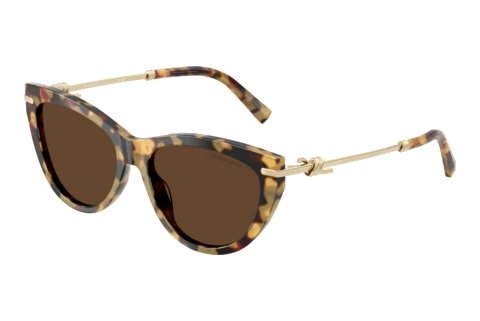 Lunettes de soleil Tiffany TF4253 80643G