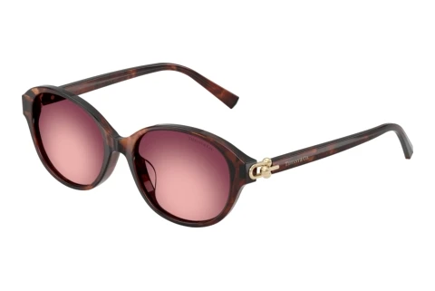 Lunettes de soleil Tiffany TF4263D 84218H