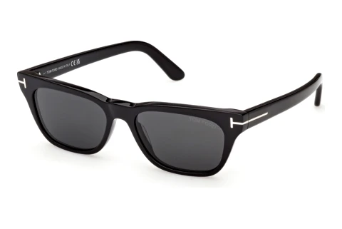 Lunettes de soleil Tom Ford Penn-02 (FT1362 01A)