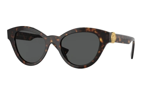 Lunettes de soleil Versace VE4435 108/87