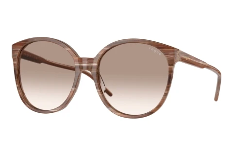 Lunettes de soleil Vogue Eyewear VO5509S 307113