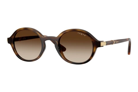 Lunettes de soleil Vogue Eyewear VO5692S W65613