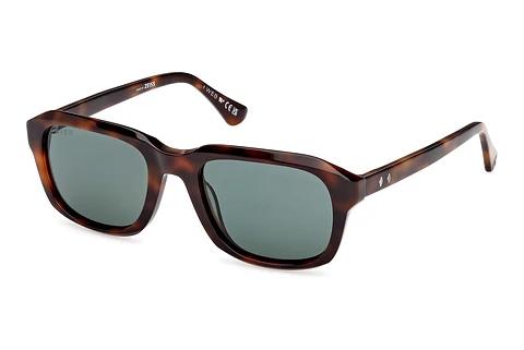 Lunettes de soleil Web Eyewear WE0389 52N