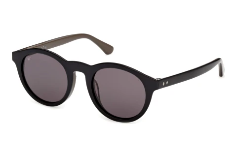 Lunettes de soleil Web Eyewear WE0398 05A